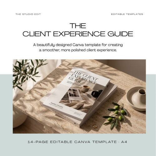 The Client Experience Guide