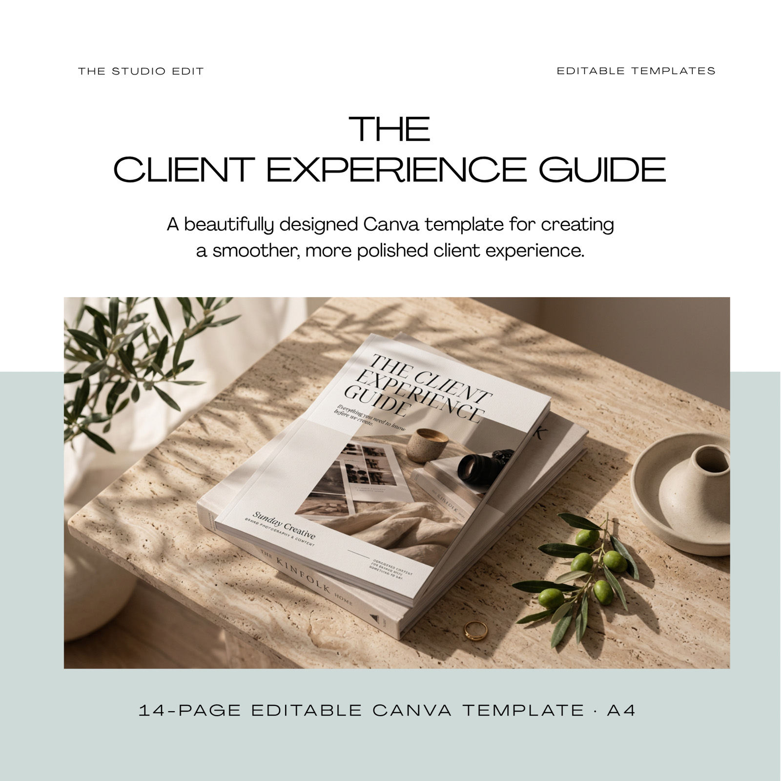The Client Experience Guide